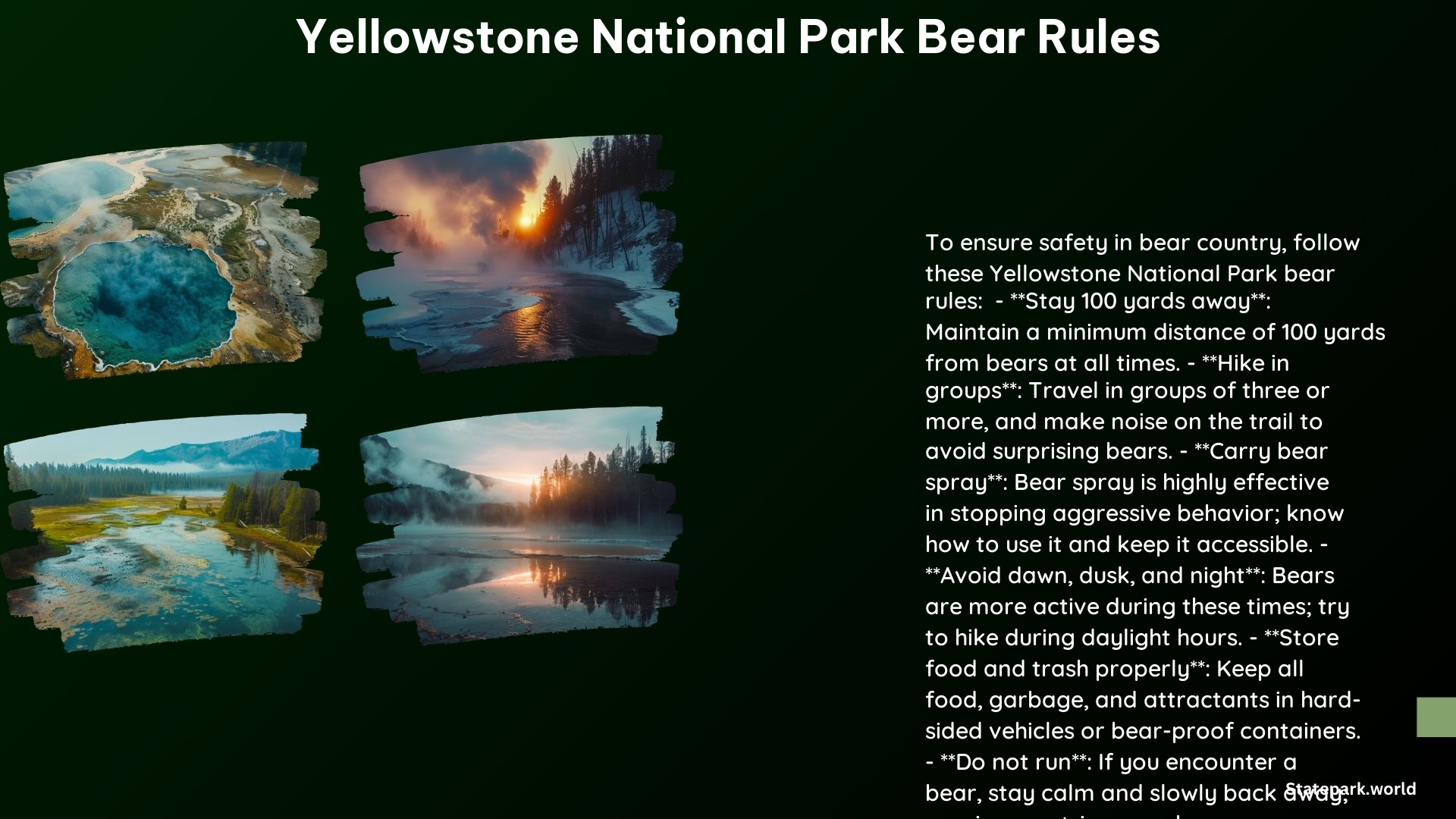 Yellowstone National Park Bear Rules