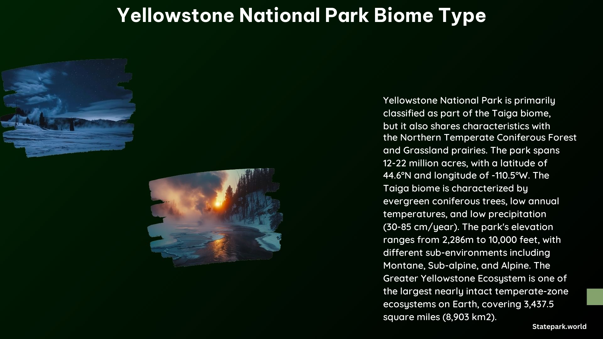 Yellowstone National Park Biome Type