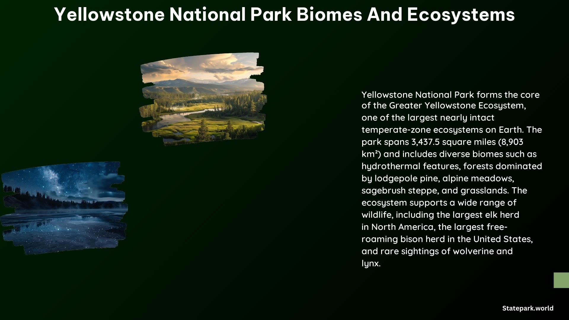 Yellowstone National Park Biomes and Ecosystems