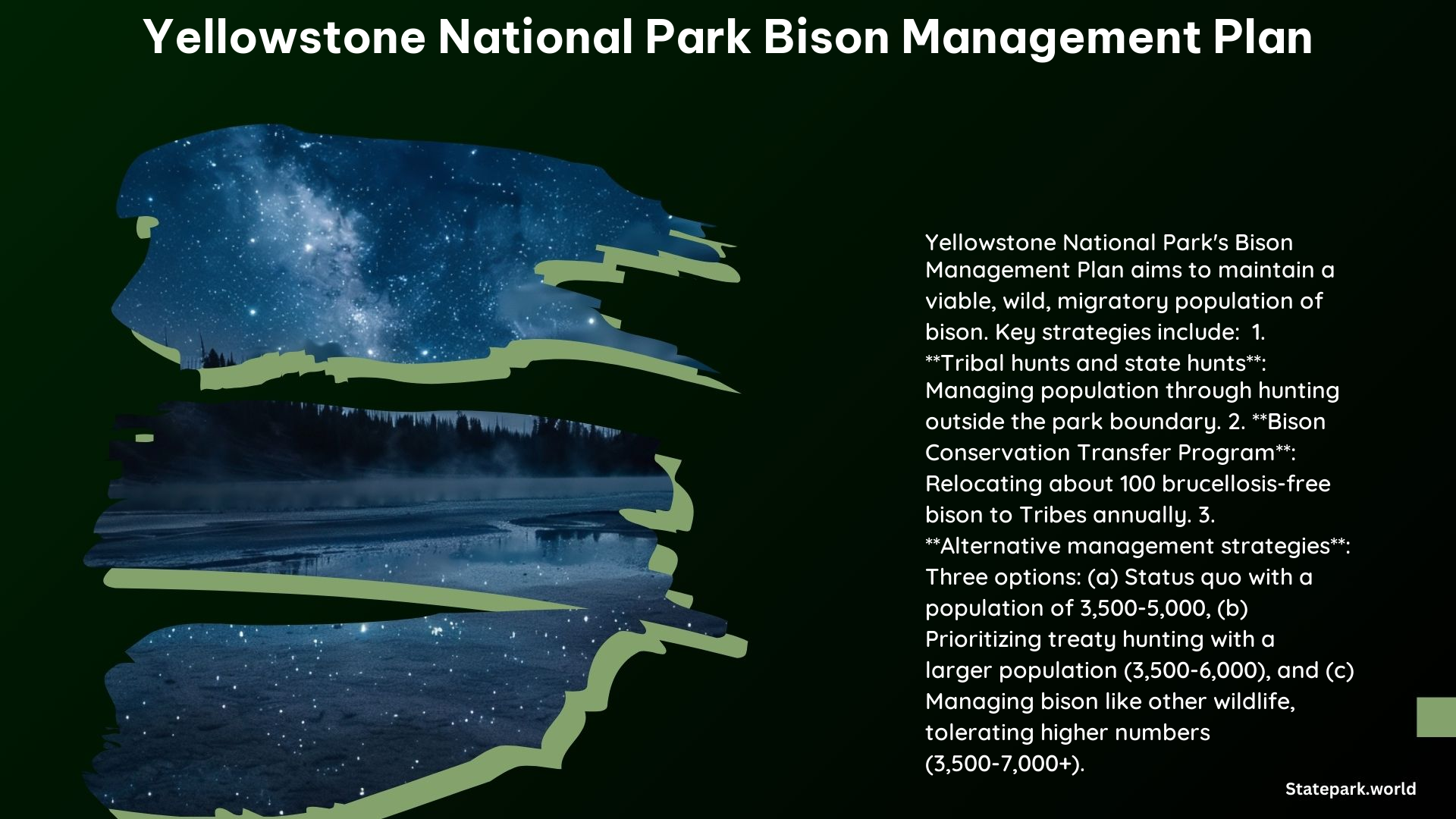 Yellowstone National Park Bison Management Plan