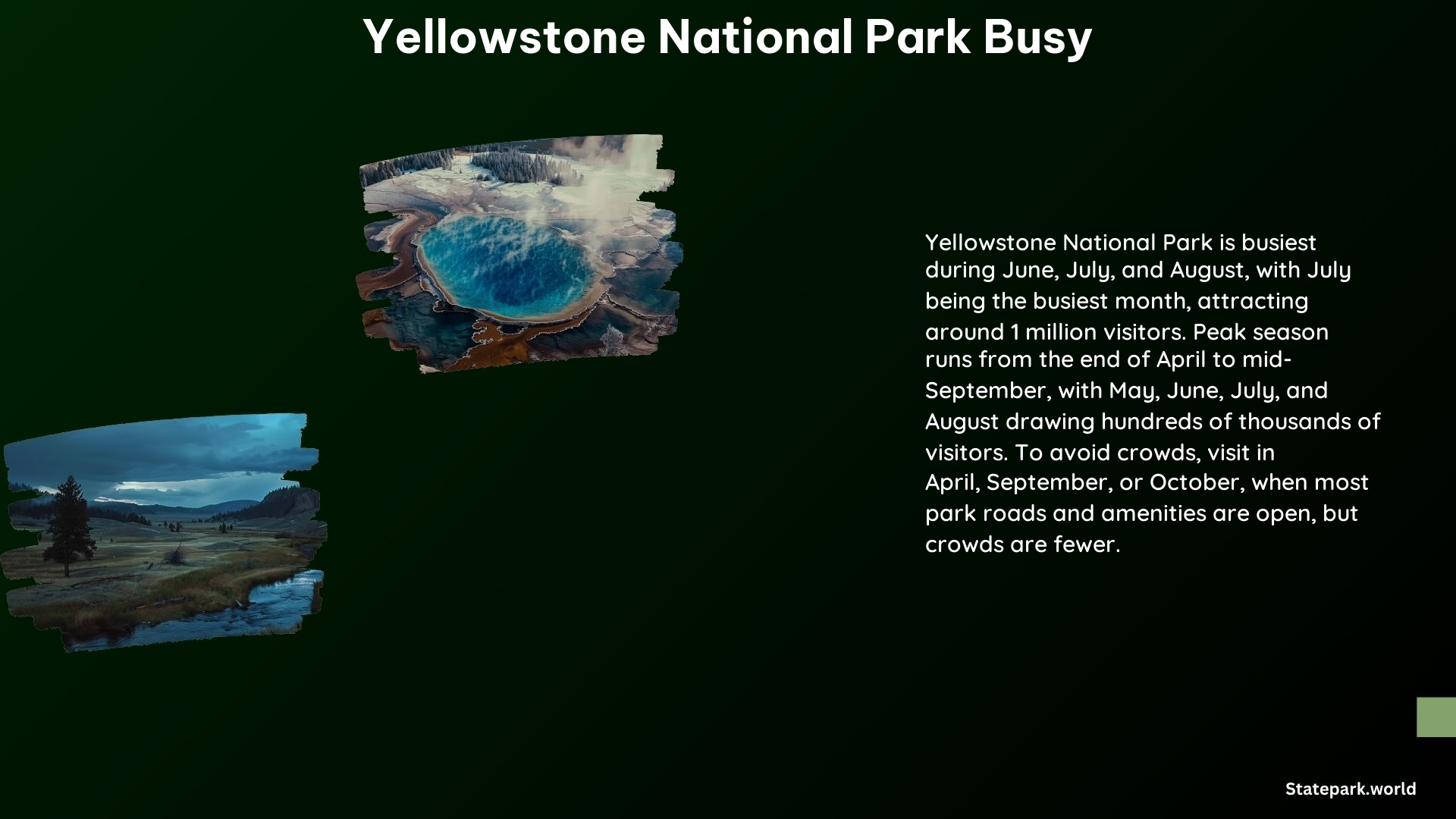 Yellowstone National Park Busy