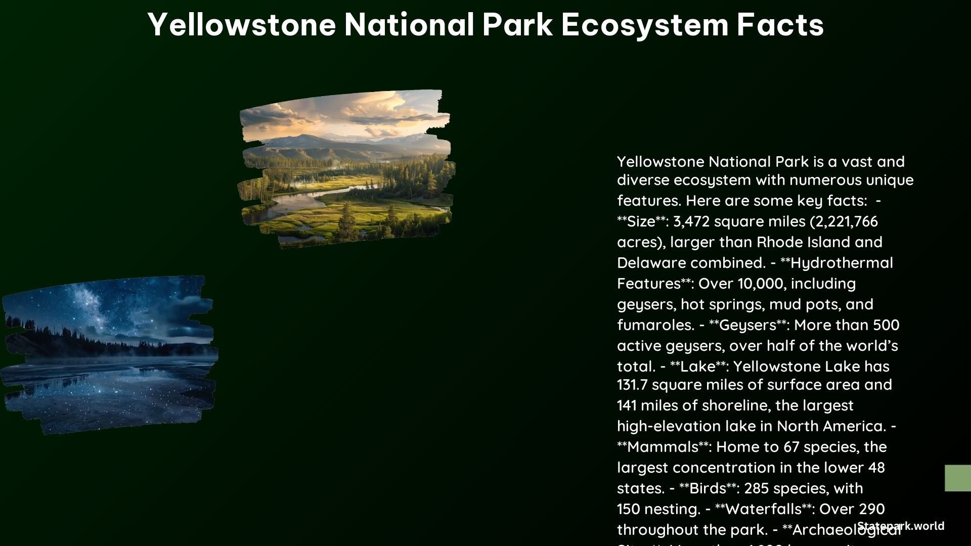 Yellowstone National Park Ecosystem Facts