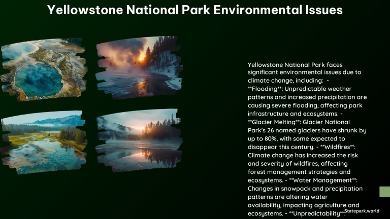 Yellowstone National Park Environmental Issues