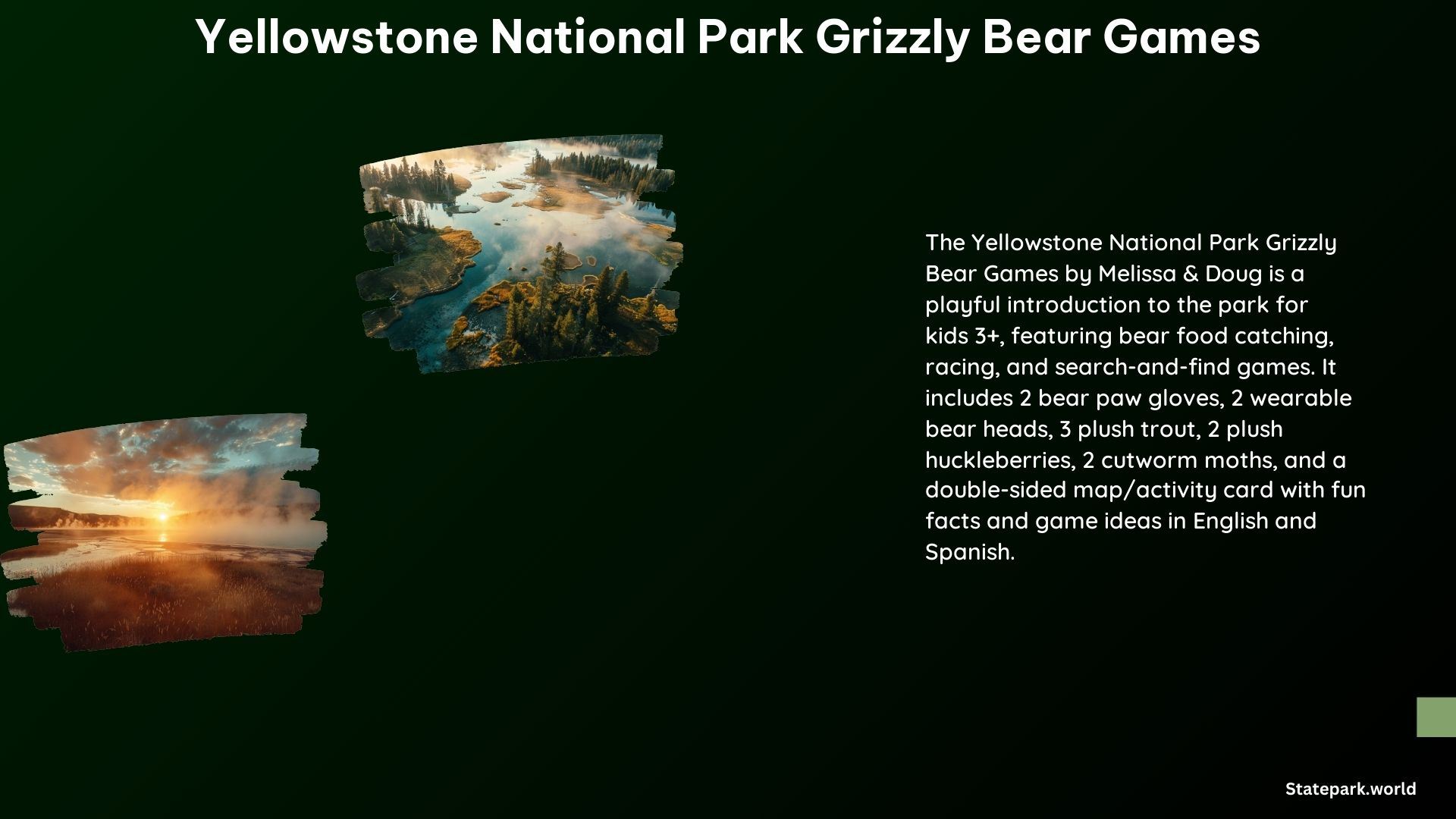 Yellowstone National Park Grizzly Bear Games