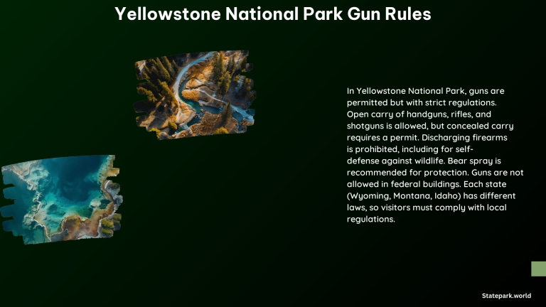 Yellowstone National Park Gun Rules