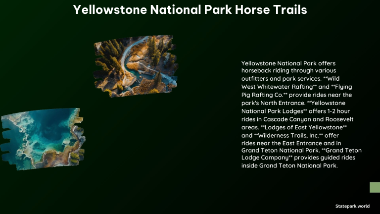 Yellowstone National Park Horse Trails