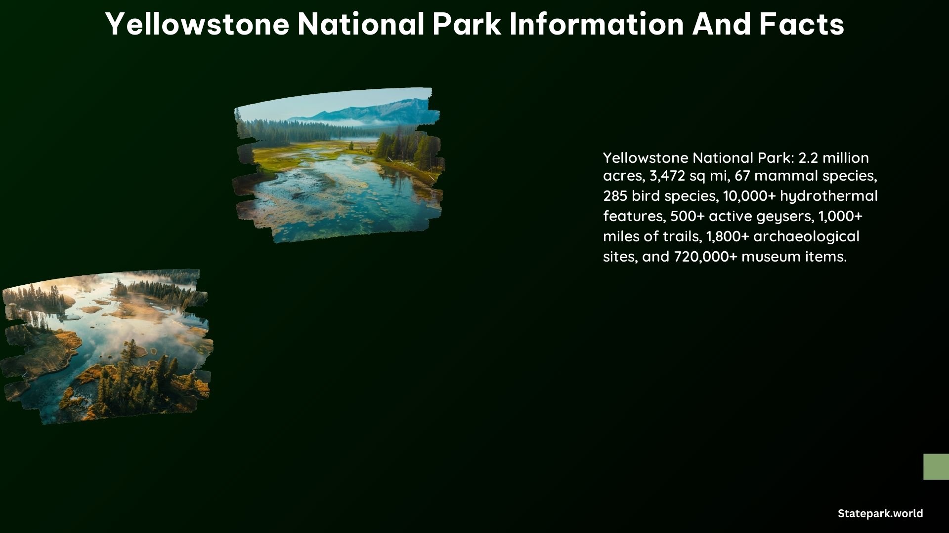 Yellowstone National Park Information and Facts