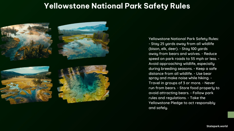 Yellowstone National Park Safety Rules