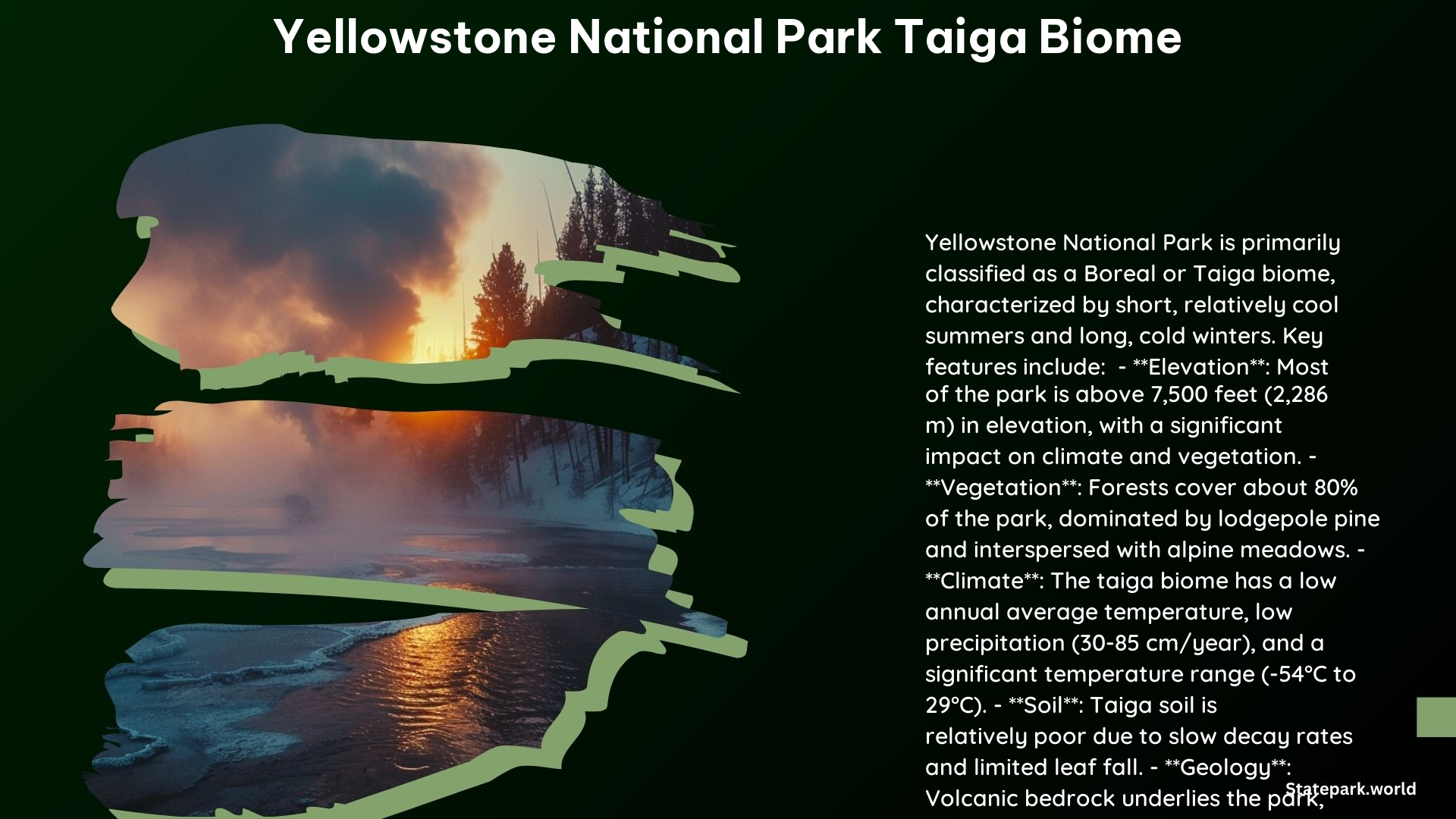 Yellowstone National Park Taiga Biome