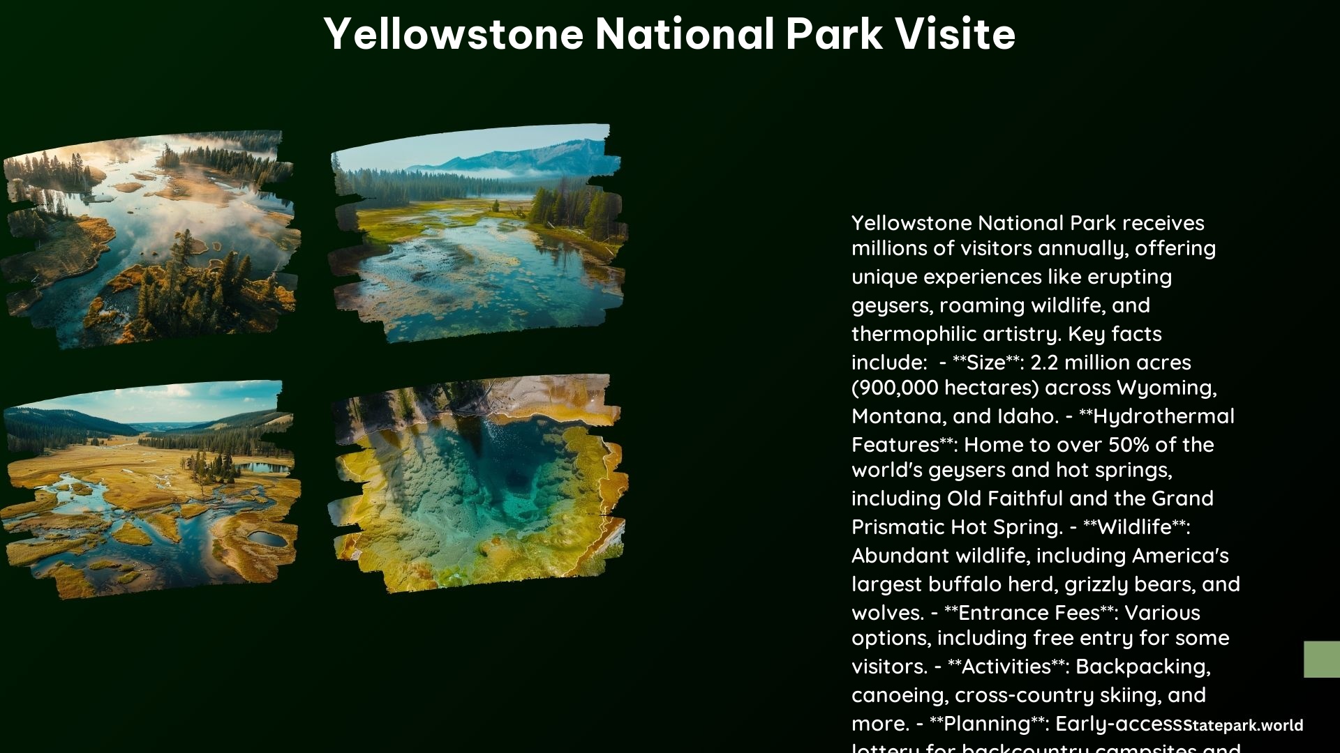 Yellowstone National Park Visite