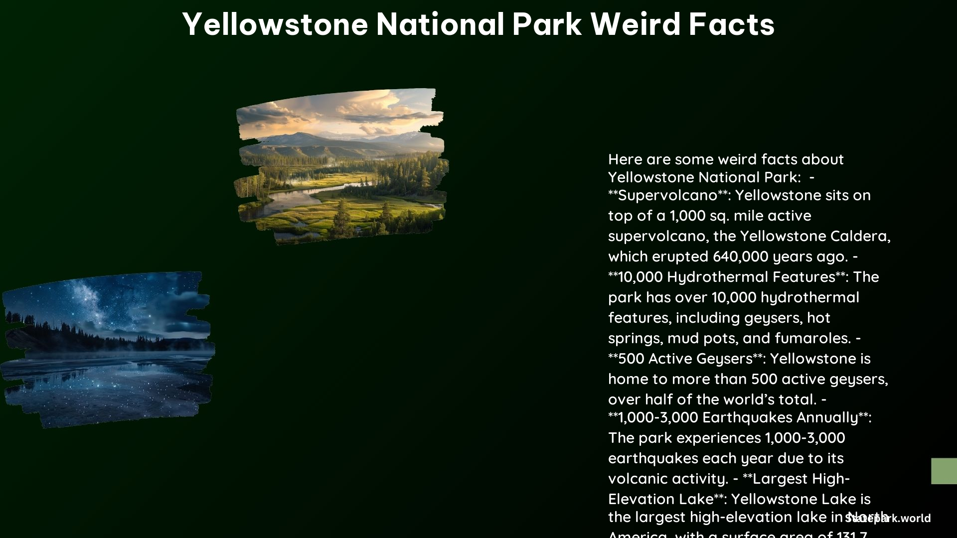 Yellowstone National Park Weird Facts