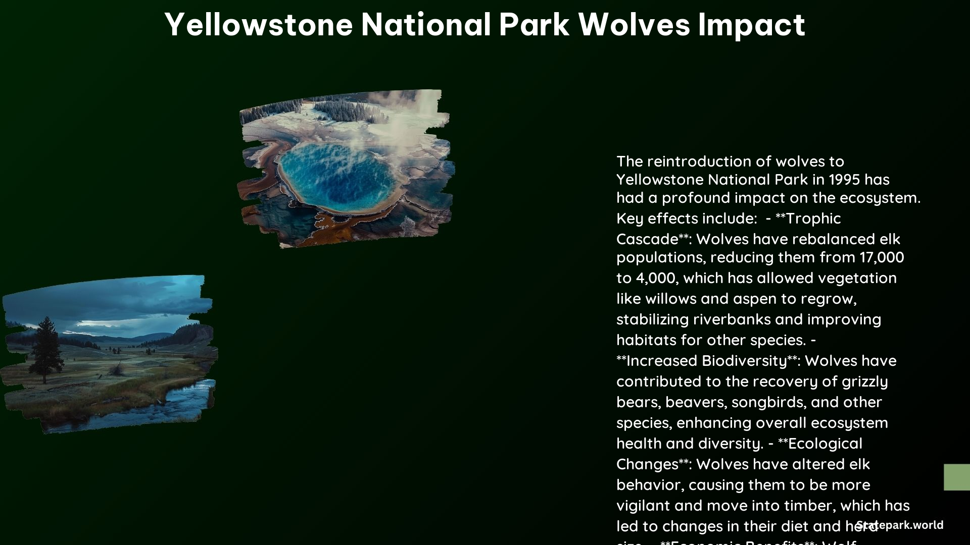 Yellowstone National Park Wolves Impact