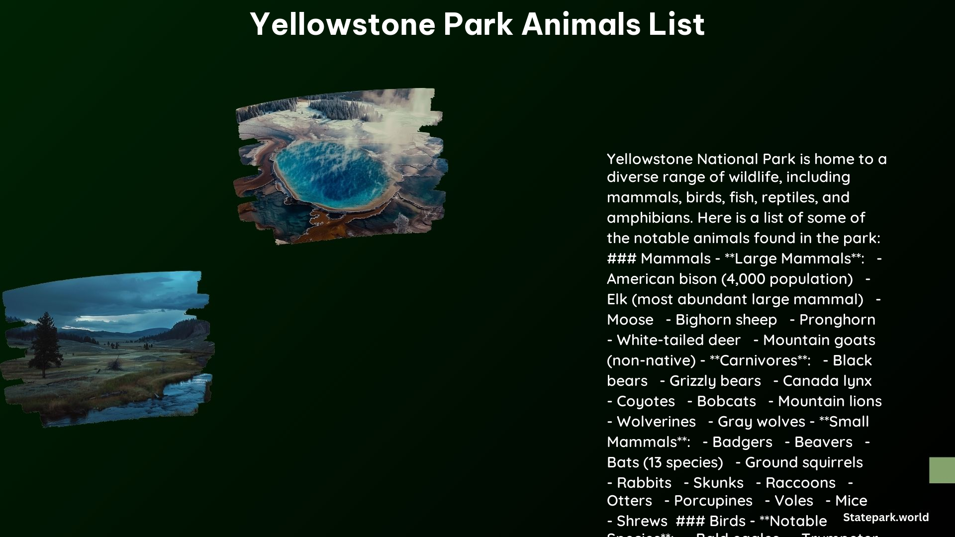 Yellowstone Park Animals List