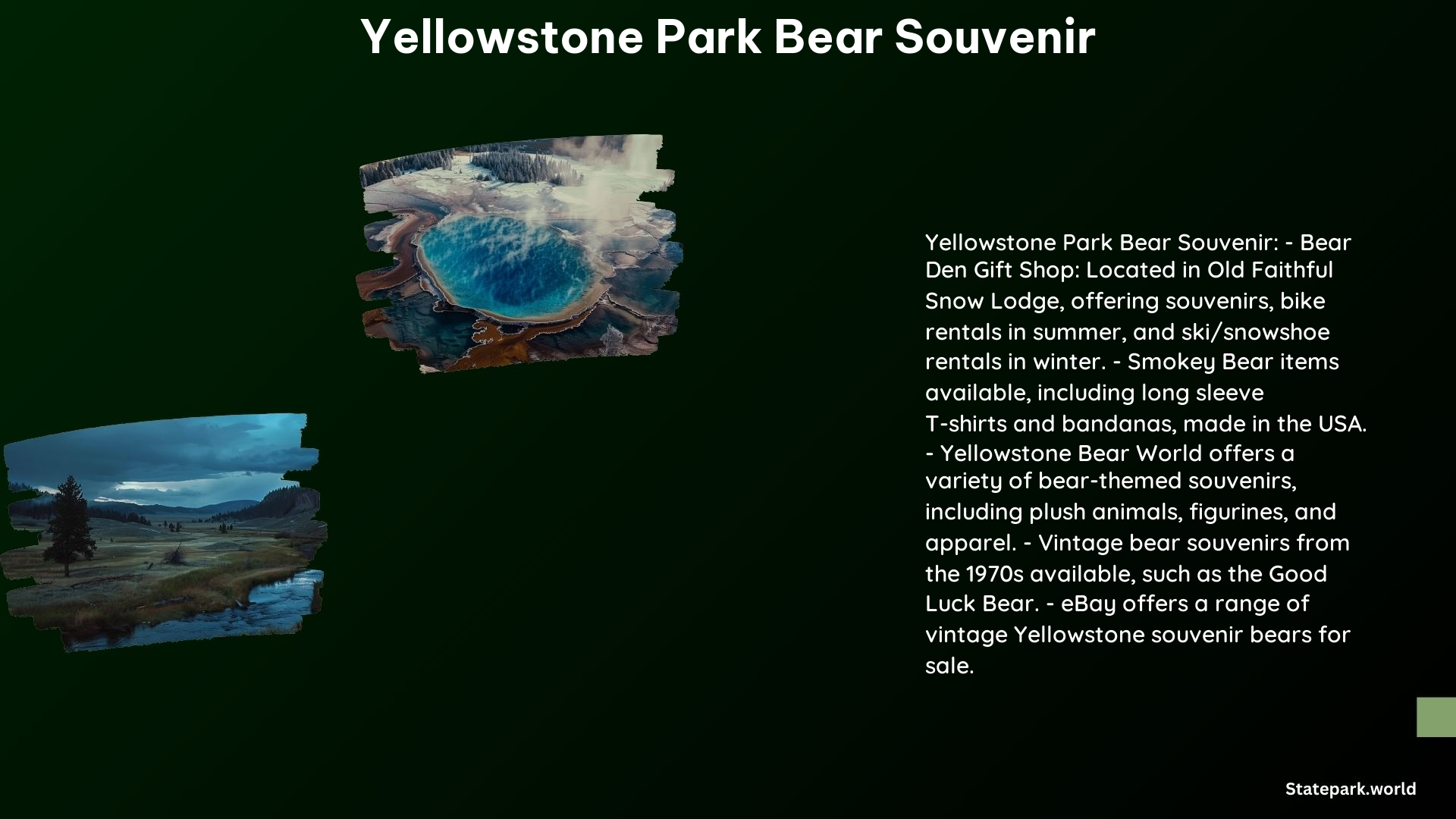 Yellowstone Park Bear Souvenir