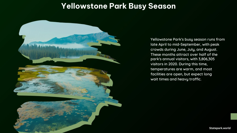 Yellowstone Park Busy Season