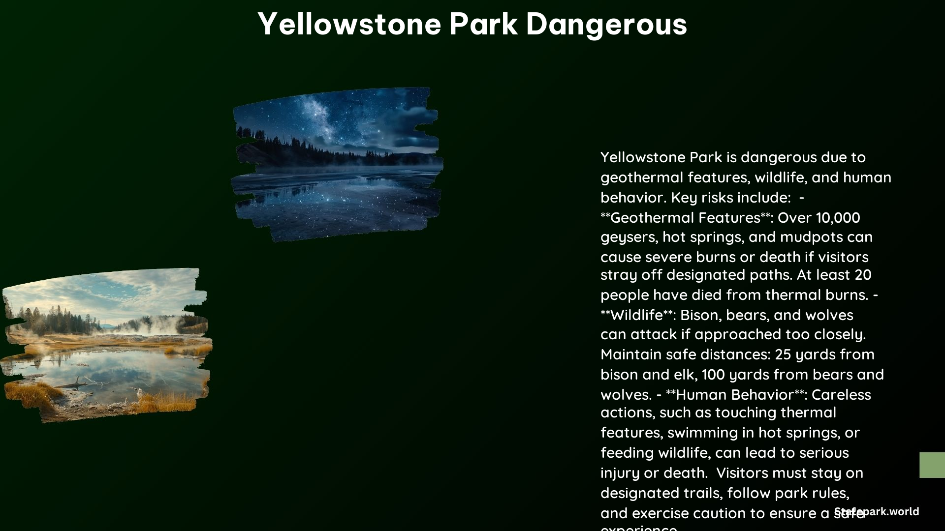 Yellowstone Park Dangerous