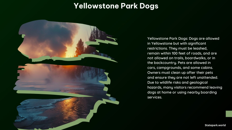 Yellowstone Park Dogs