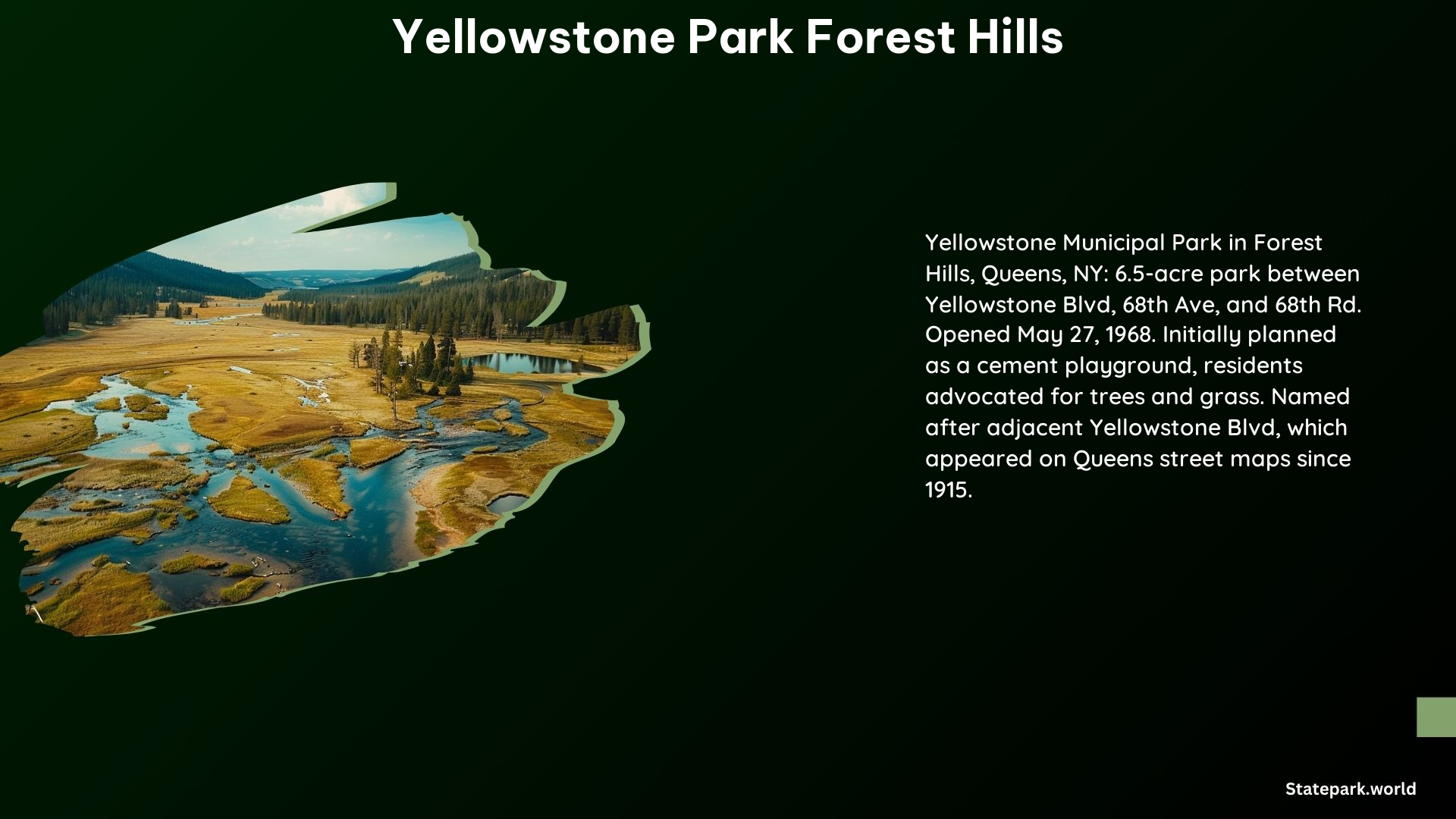 Yellowstone Park Forest Hills