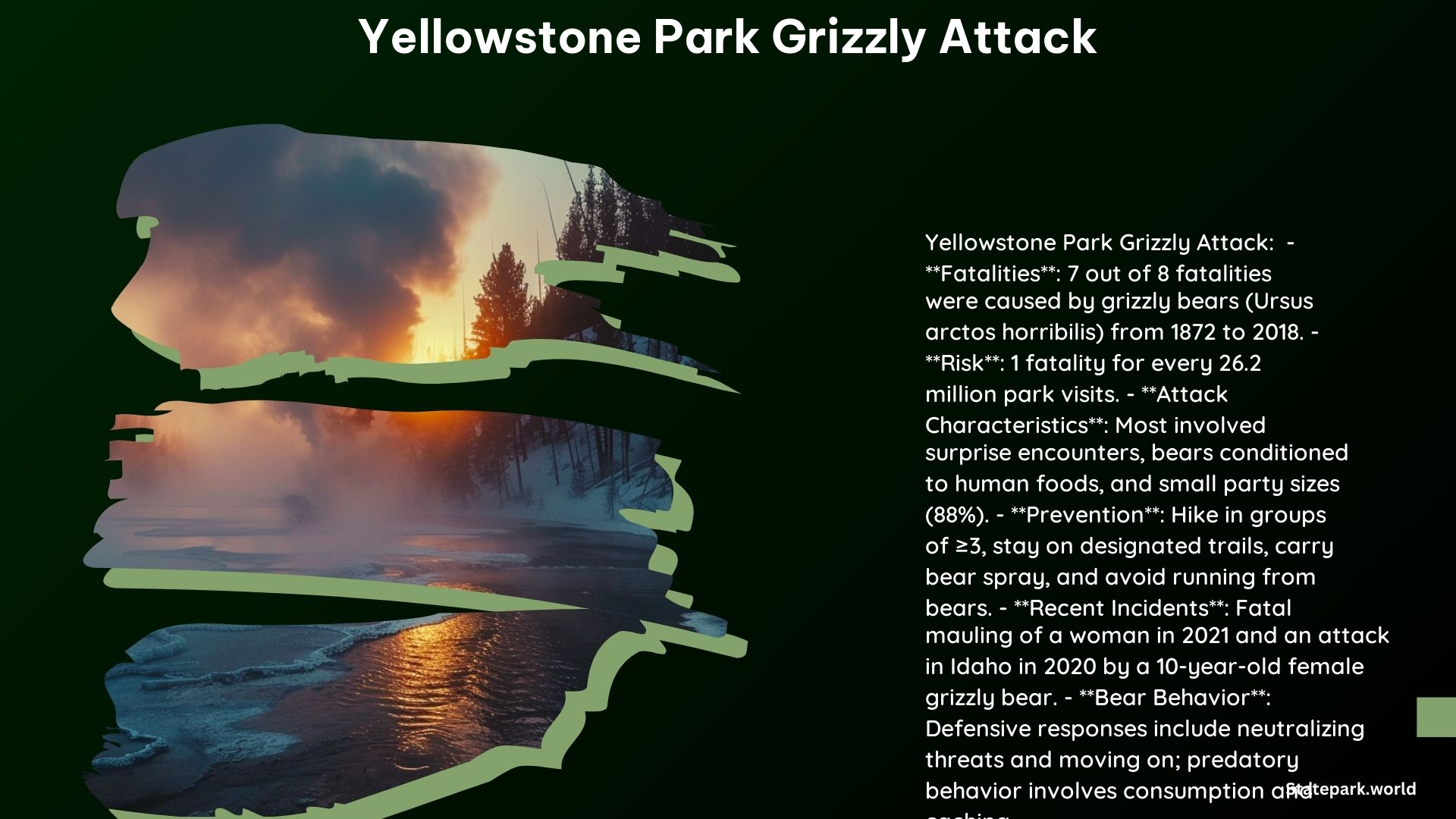 Yellowstone Park Grizzly Attack