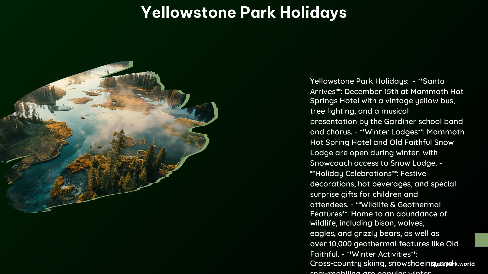 Yellowstone Park Holidays