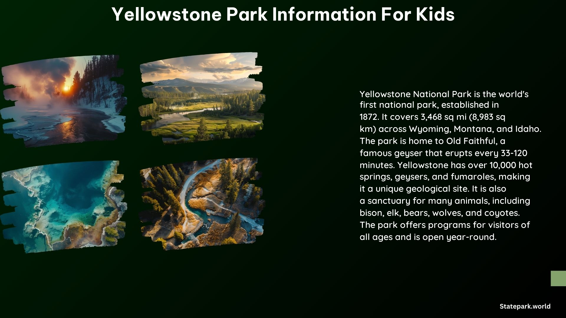 Yellowstone Park Information for Kids