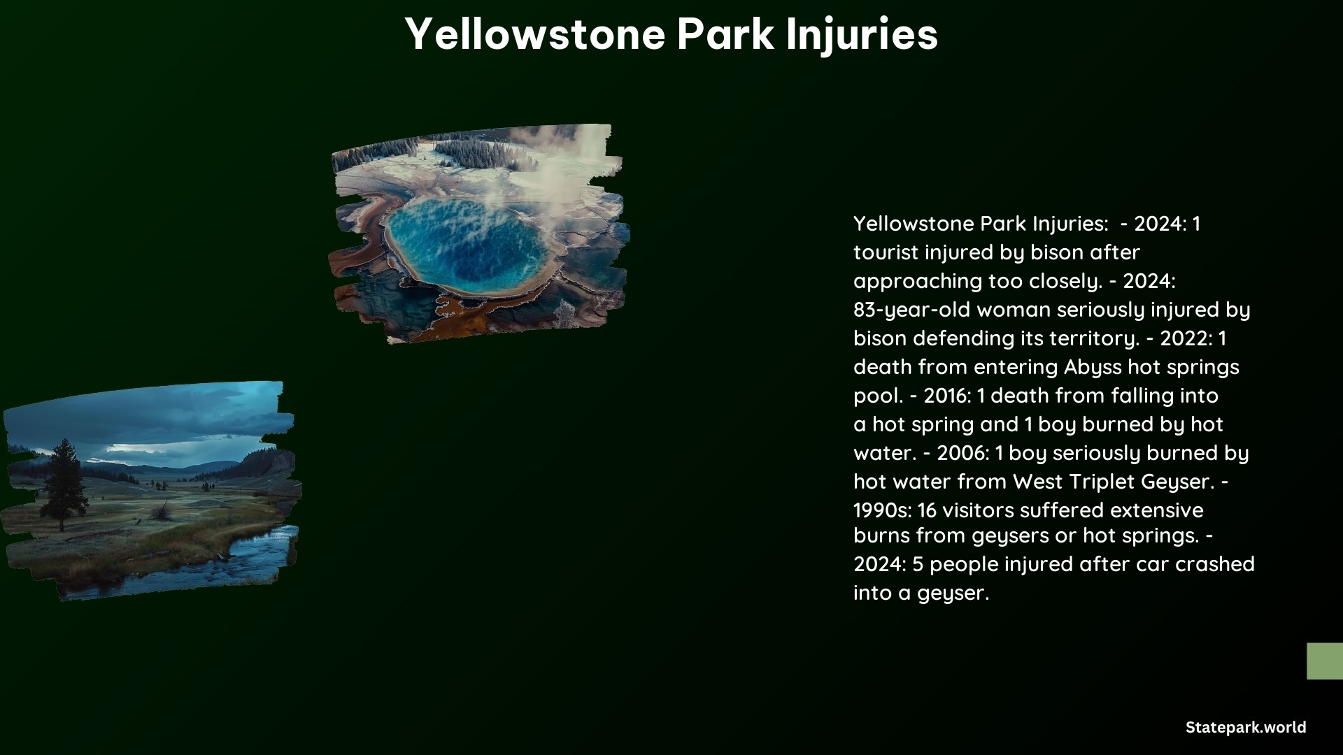 Yellowstone Park Injuries