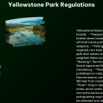 Yellowstone Park Regulations