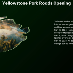 Yellowstone Park Roads Opening