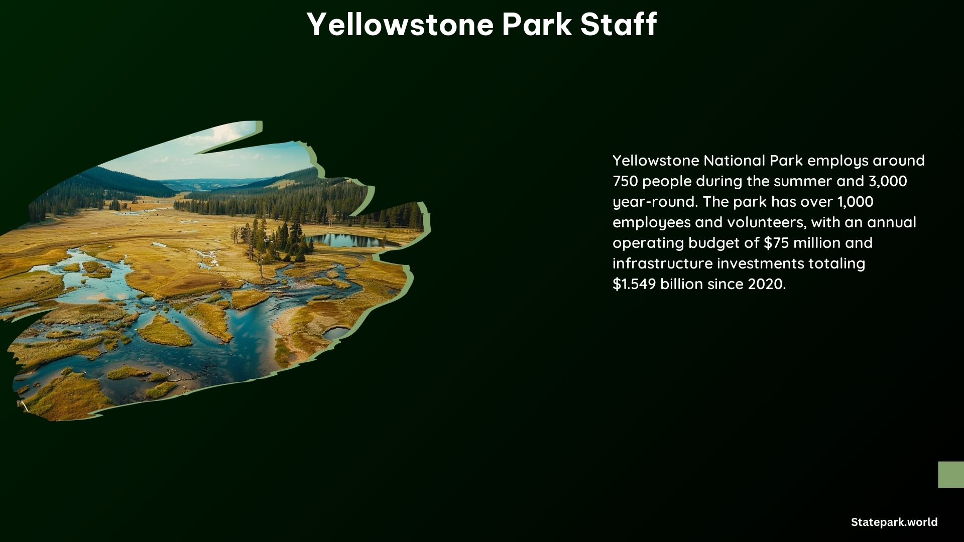 Yellowstone Park Staff