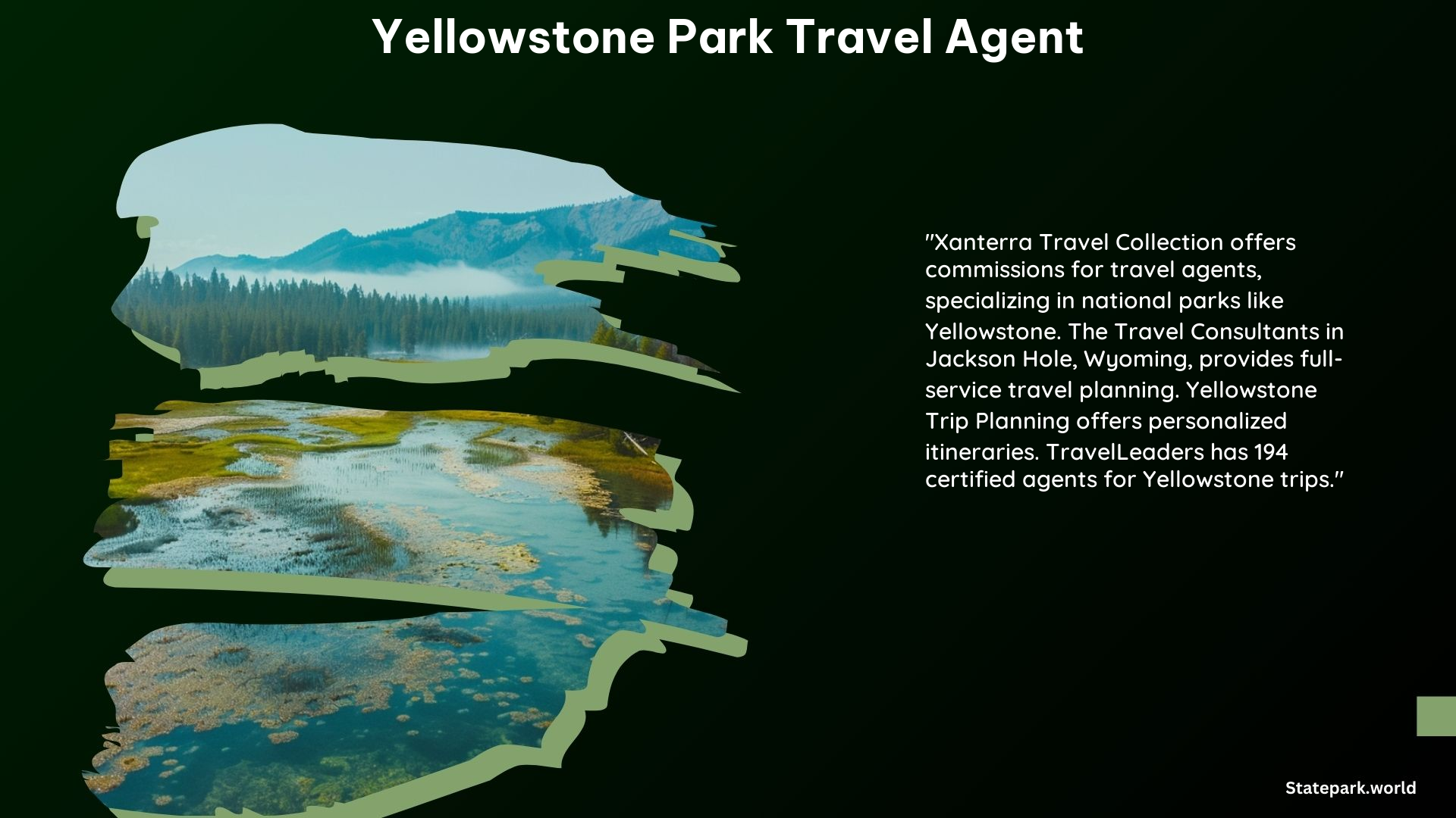 Yellowstone Park Travel Agent