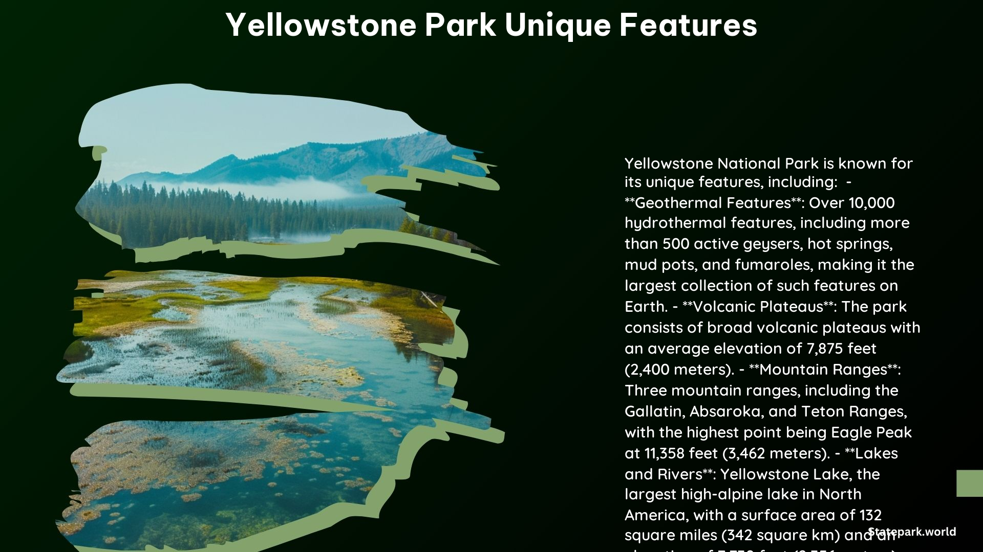 Yellowstone Park Unique Features