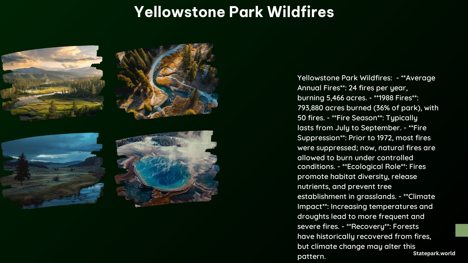 Yellowstone Park Wildfires