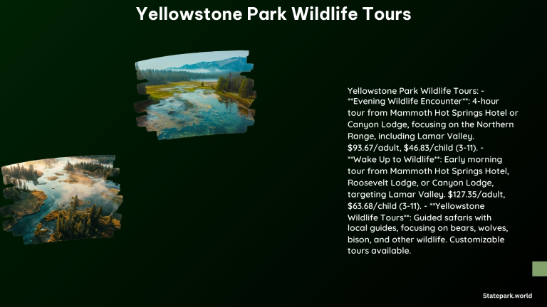 Yellowstone Park Wildlife Tours