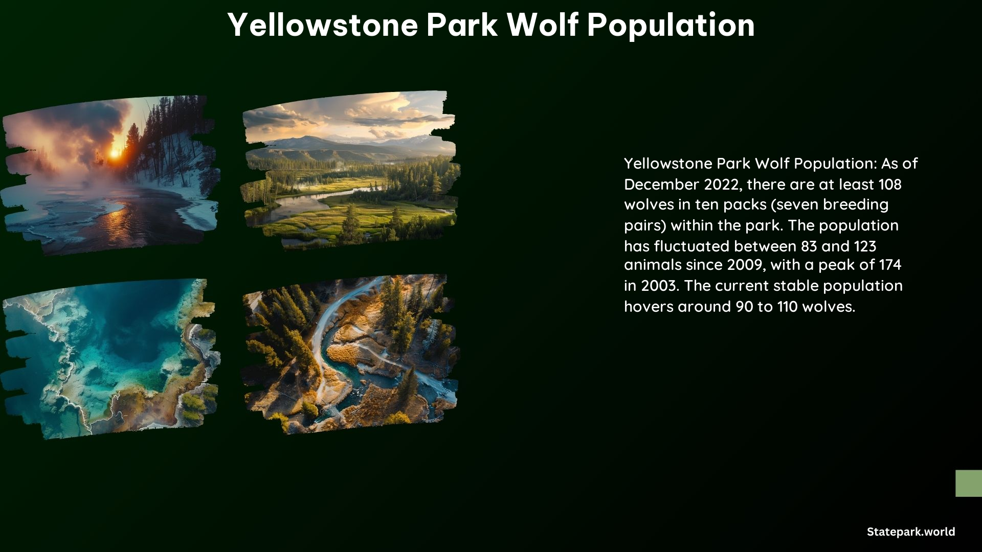 Yellowstone Park Wolf Population