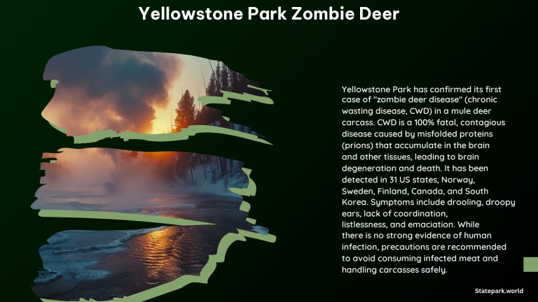 Yellowstone Park Zombie Deer