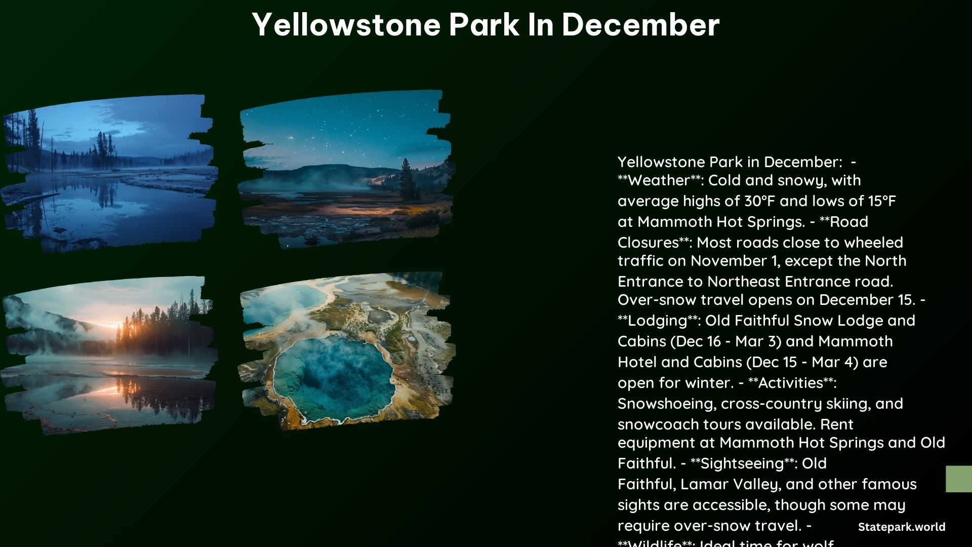 Yellowstone Park in December