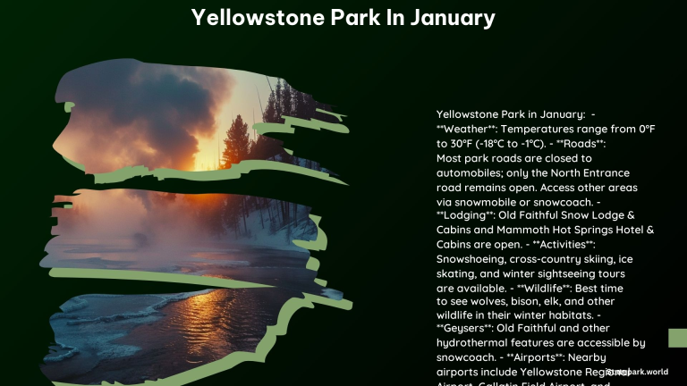 Yellowstone Park in January