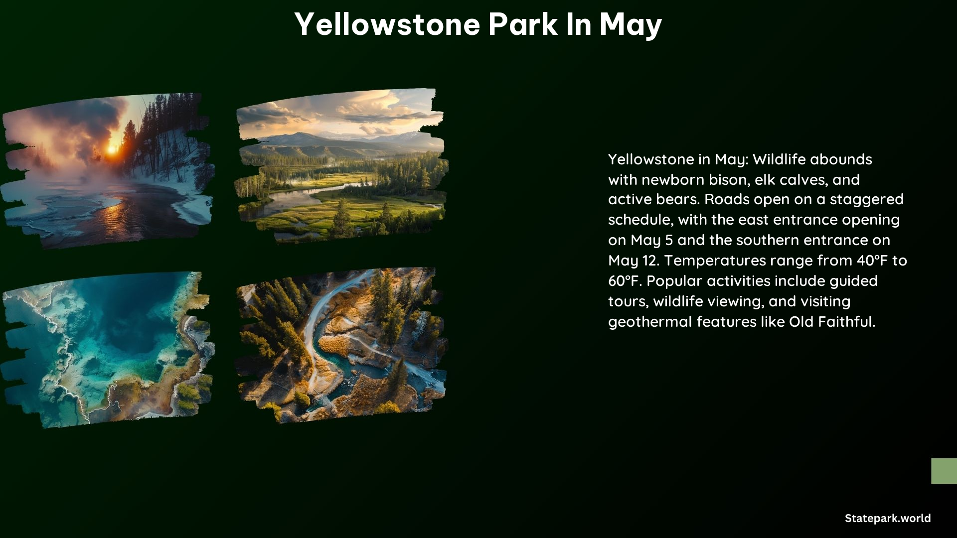 Yellowstone Park in May