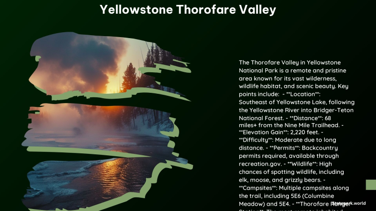 Yellowstone Thorofare Valley