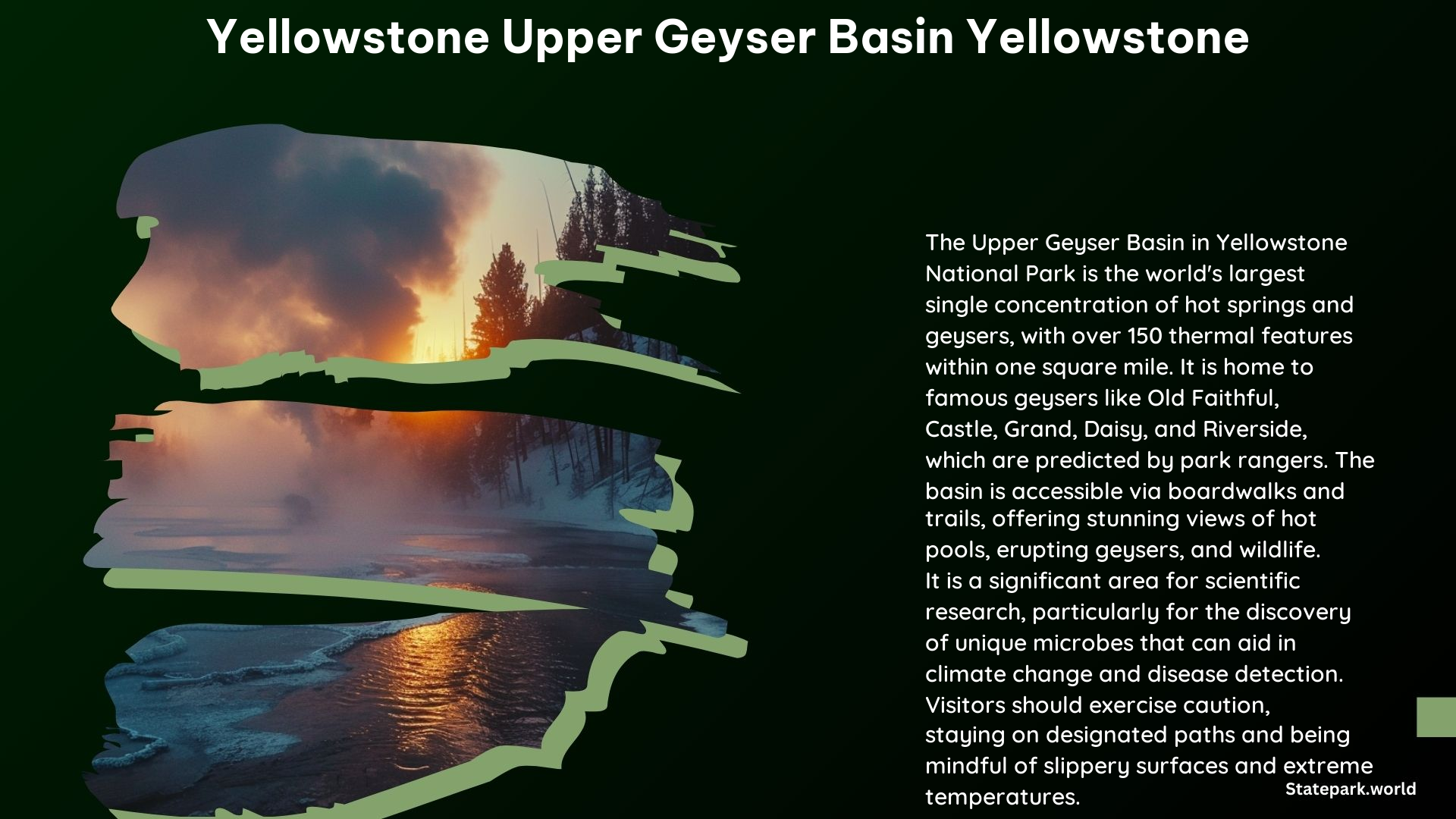 Yellowstone Upper Geyser Basin Yellowstone 1