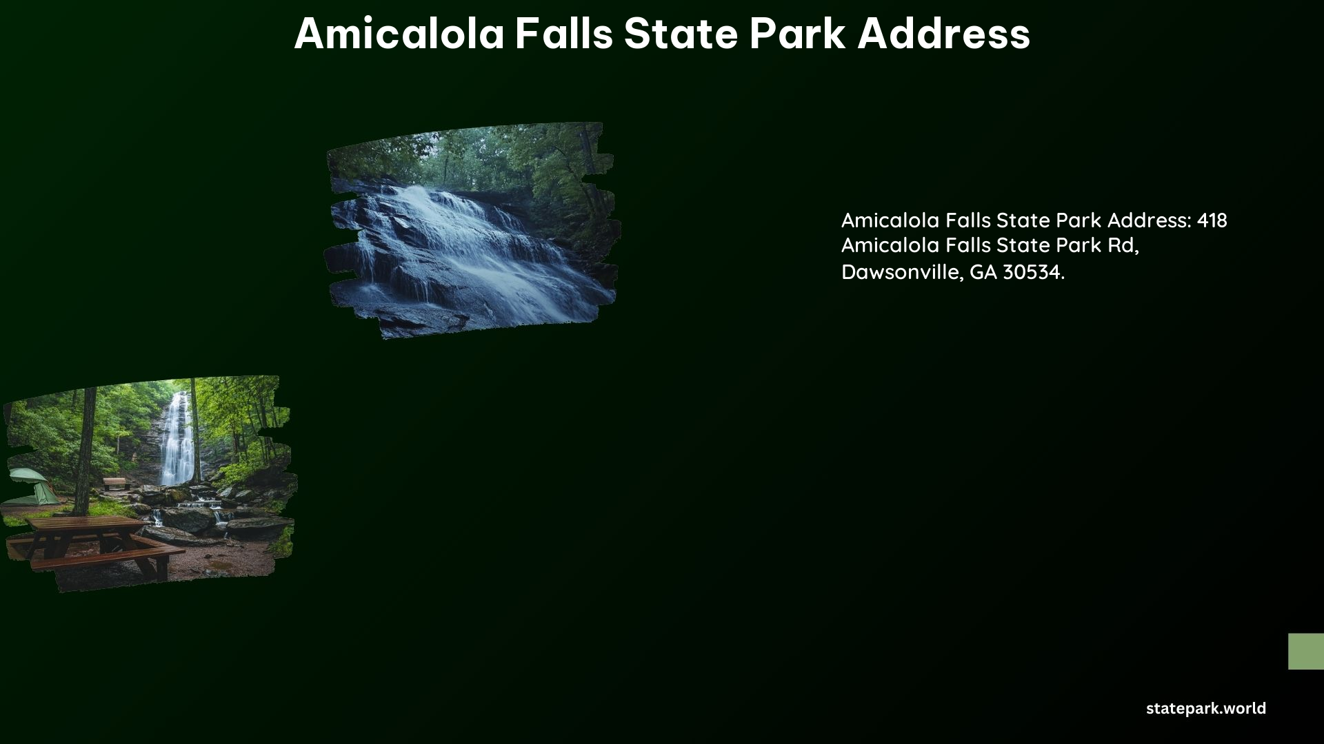 Amicalola Falls State Park Address