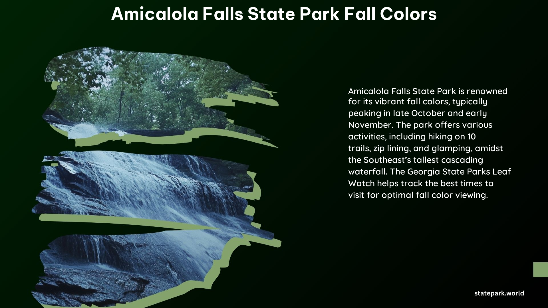 Amicalola Falls State Park Fall Colors