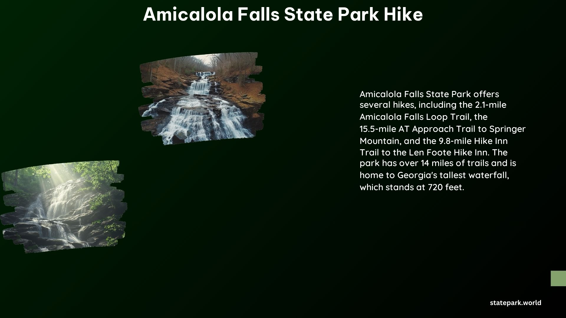 Amicalola Falls State Park Hike