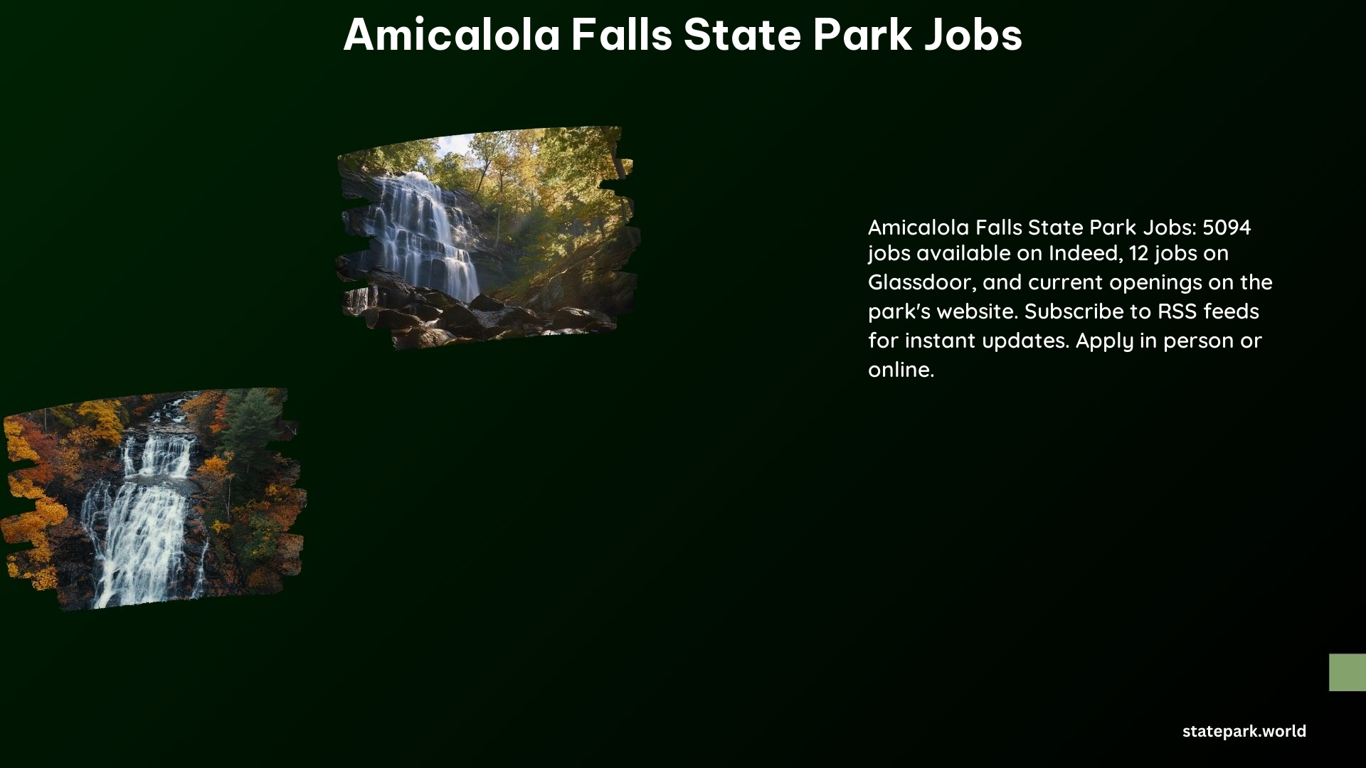 Amicalola Falls State Park Jobs