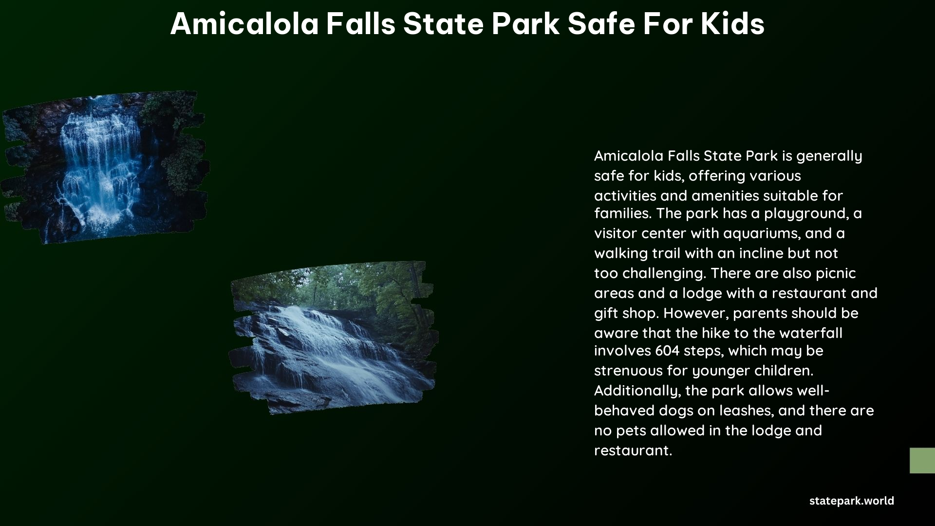 Amicalola Falls State Park Safe for Kids