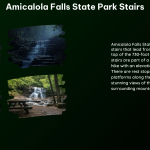 Amicalola Falls State Park Stairs