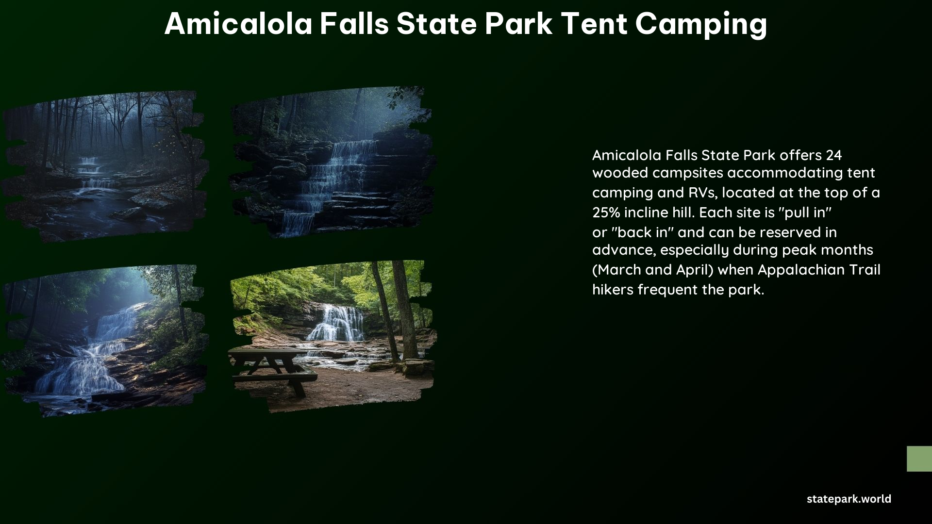 Amicalola Falls State Park Tent Camping