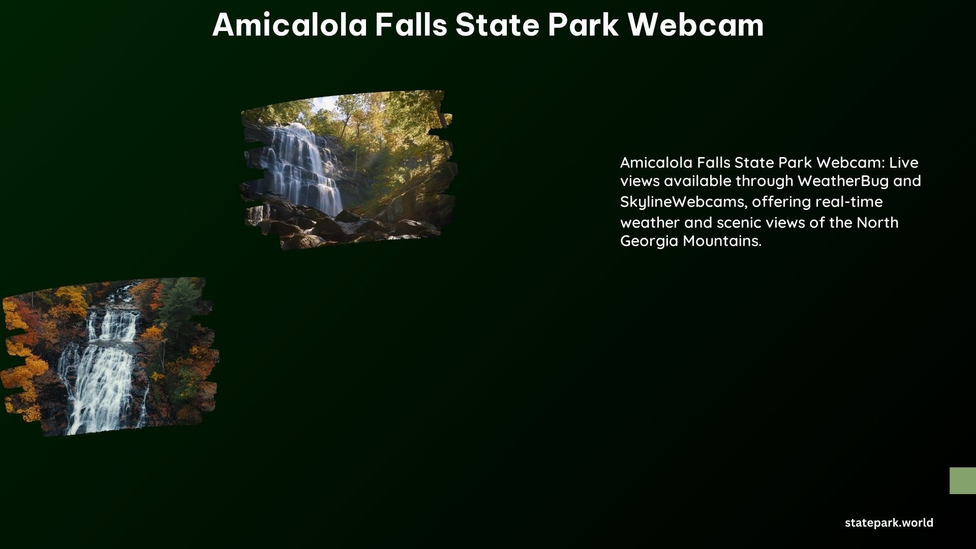 Amicalola Falls State Park Webcam