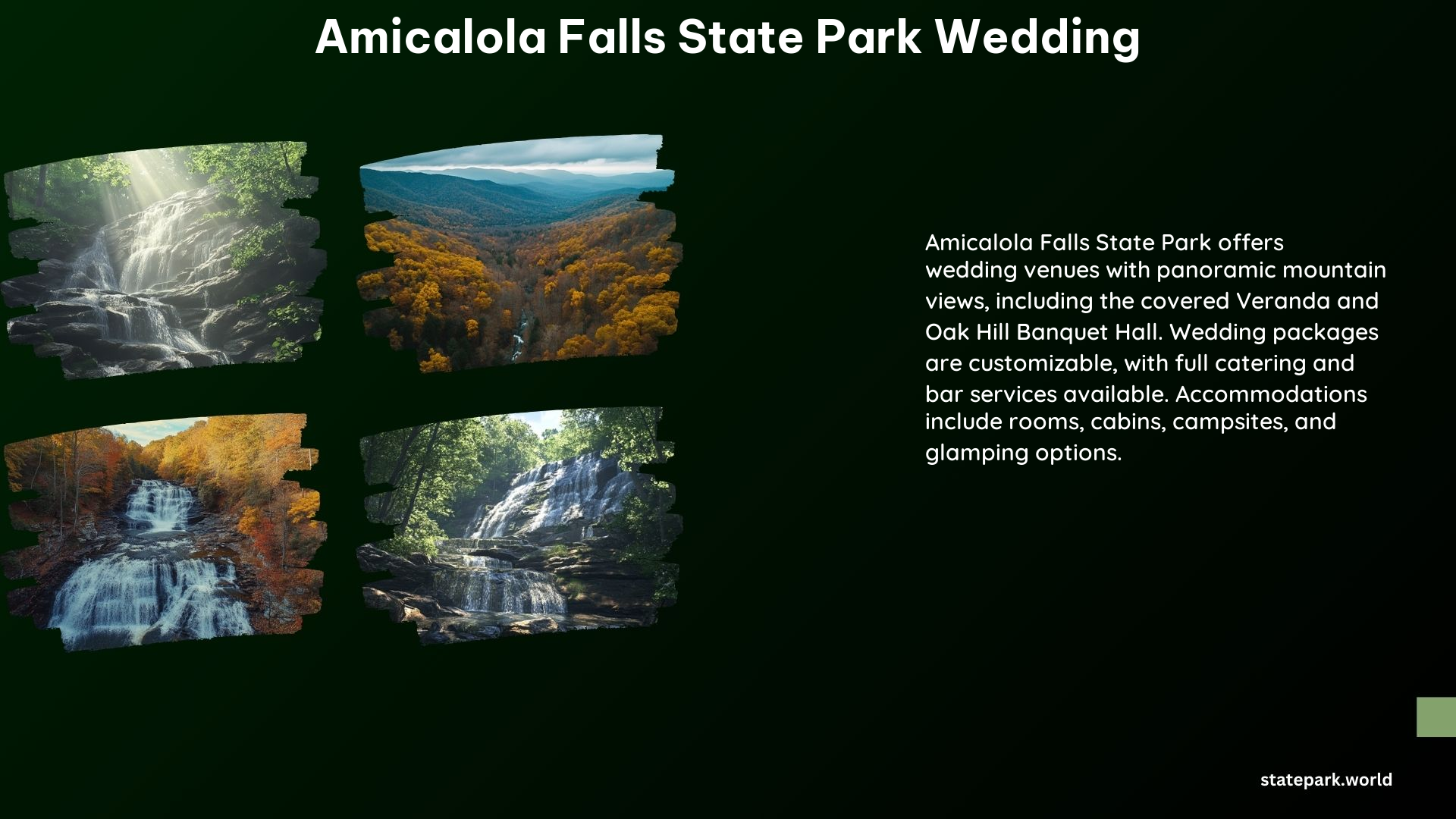 Amicalola Falls State Park Wedding