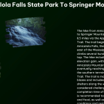 Amicalola Falls State Park to Springer Mountain